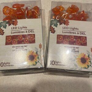 Lot of 2 LED White Lights NIB Mini Orange Owls 3' ea Indoor use Home decor kids